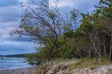 高手论坛免费资料大全集(香港六和合彩资料)