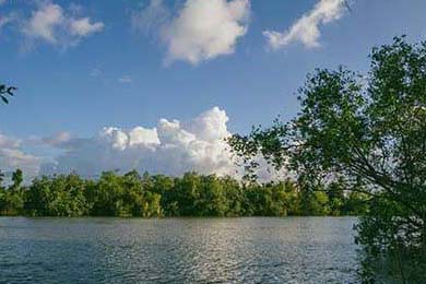 华商论坛咸阳社区(51鲜茶论坛)