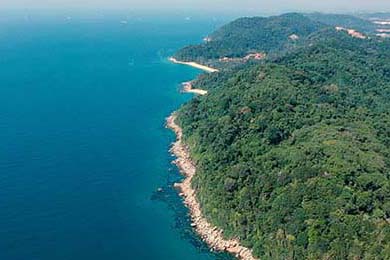 澳门论坛六肖资料网址(一码一肖100准免费资料最准确)